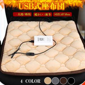 ホットマット 一人用 ミニ ホットカーペット 45*45cm 電気 ヒーター ペット 足元 USB 椅子 座布団 キャンプ 車内 アウトドア オフィス 送料無料