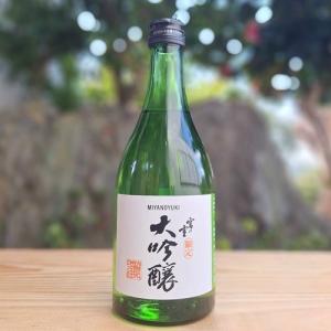 宮の雪 日本酒 みやのゆき 大吟醸 県内限定酒 山田錦100% 500ml 1200本限定酒 2025年4月蔵出し 当店冷蔵保管酒 宮崎本店 三重県 四日市市