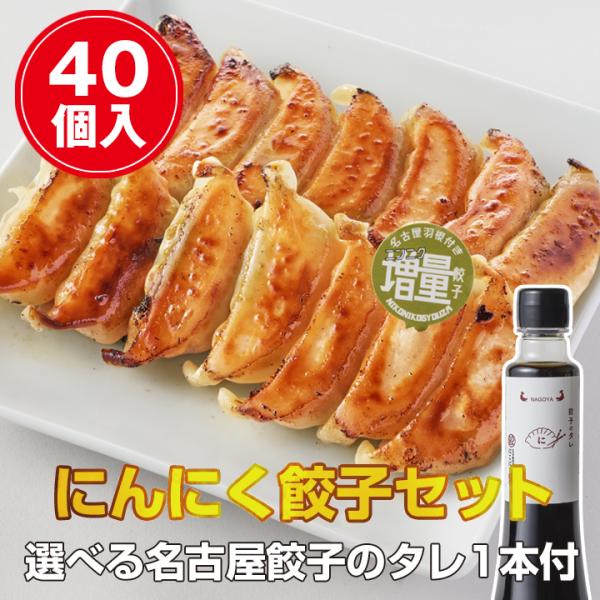 【名古屋餃子を満喫】 にんにく餃子（40個入）セット　冷凍餃子 ぎょうざ ギョーザ 送料無料 冷凍食...