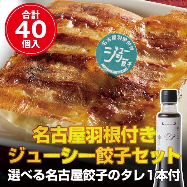 【名古屋餃子を満喫】名古屋羽根付きジューシー餃子(40個入)セット　冷凍餃子 ぎょうざ ギョーザ 送...