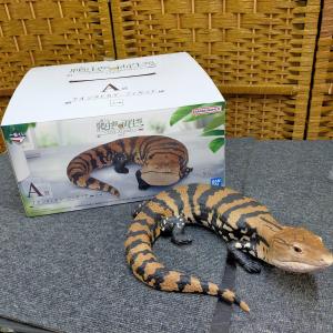 E02-20260827-22 一番くじ 爬虫類＆両生類 Tiny Friends vol.2 A賞 アオジタトカゲ フィギュア