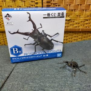 E02-20260827-23 一番くじ 昆虫 LIFE with INSECT B賞 ギラファノコギリクワガタ フィギュア