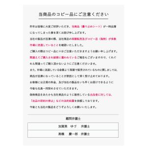 ★簡単作業・3分できる★ヘルメットフィルム 曇...の詳細画像1