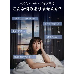 【超音波で虫撃退】携帯型 蚊よけ器 蚊除けキー...の詳細画像1