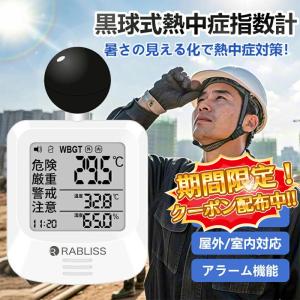 熱中症計（ヘルメット用） HO-1481 ヘルメットに取り付け、自動で警告