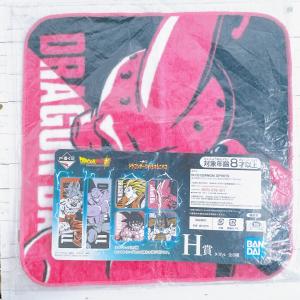 ☆ 一番くじ ドラゴンボール ULTIMATE EVOLUTION With