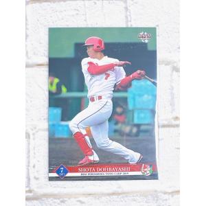 ☆ BBM2019 広島東洋カープ レギュラーカード C49 堂林翔太 ☆