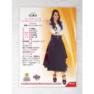☆ BBM プロ野球チアリーダーカード 202...の詳細画像1