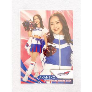 ☆ BBM プロ野球チアリーダーカード 2022 DANCING HEROINE 華 華04 東京ヤクルトスワローズ Passion AKANEKO ☆