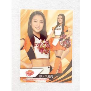 ☆ BBM プロ野球チアリーダーカード 2022 DANCING HEROINE 華 華24 読売巨人軍公式マスコットガール VENUS 田ノ下夏葵 ☆