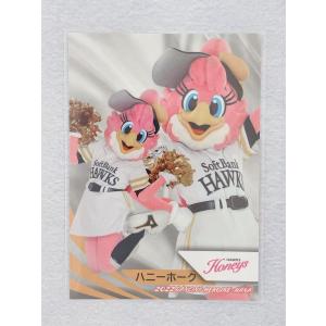 ☆ BBM プロ野球チアリーダーカード 2022...の商品画像