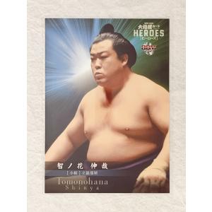 ☆ BBM2021 大相撲カード レジェンド HEROES レギュラーカード 小結 47 智ノ花伸哉 ☆