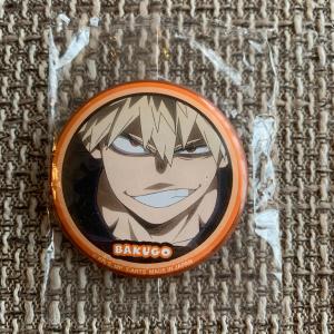 ☆ 僕のヒーローアカデミア ヒロアカ ジャンプショップ アート