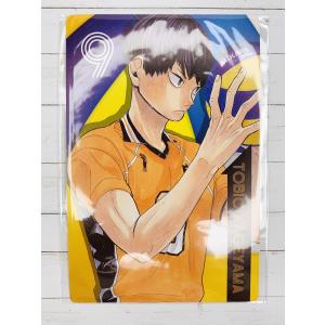 ☆ハイキュー!! 10thクロニクル 思い出スナップ風フォトカード No.118