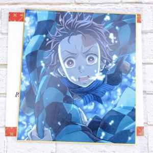 ☆ アニメージュとジブリ展 展覧会限定 アートデリ 風の谷のナウシカ
