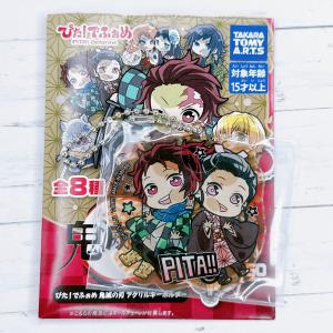 鬼滅の刃 炭治郎 & 禰豆子 (たんじろう ねずこ ) 禰豆子といっしょ