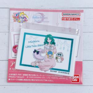 ☆ Donguri Closet限定 カメオブローチ コレクション スタジオジブリ