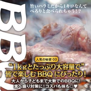 肉 焼肉 牛ハラミ 1kg 500g×2 秘伝...の詳細画像5