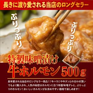 焼肉 牛ホルモン500g 約2-3人前 牛 ホ...の詳細画像1