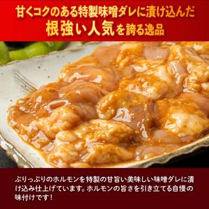 焼肉 牛ホルモン500g 約2-3人前 牛 ホ...の詳細画像2