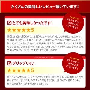 焼肉 牛ホルモン500g 約2-3人前 牛 ホ...の詳細画像4