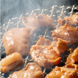 焼肉 牛ホルモン500g 約2-3人前 牛 ホ...の詳細画像5
