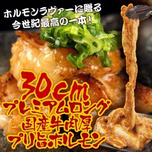ロングカット国産牛小腸！肉厚プリ旨 味噌漬ホルモン