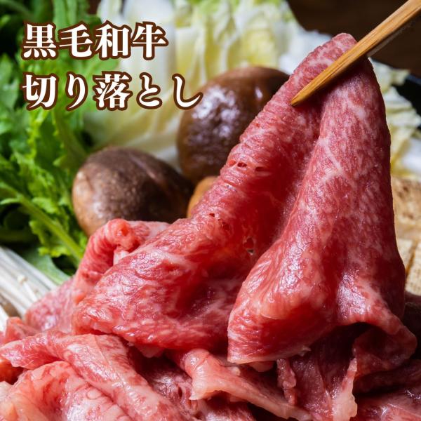 父の日 牛肉 九州産 黒毛和牛 切り落とし 800g 400g×2P 国産 冷凍 食品 焼肉 すき焼...