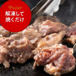 肉 焼肉 訳あり 牛ヒレ ひとくち ステーキ ...の詳細画像5