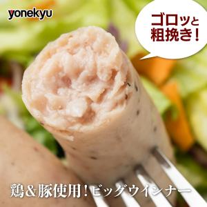 米久ジャイアントCOO(ジャイアントクー)1K...の詳細画像1
