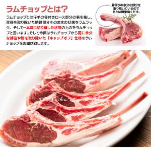ラム肉 ラムチョップ キャップオフ 300g ...の詳細画像3