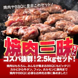 メガ盛り 焼肉 三昧セット 計2.5kg 牛ヒ...の詳細画像1