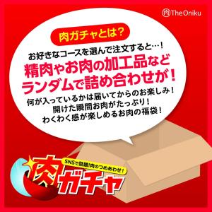 【10000円コース】肉ガチャ 肉福袋 食品 ...の詳細画像1