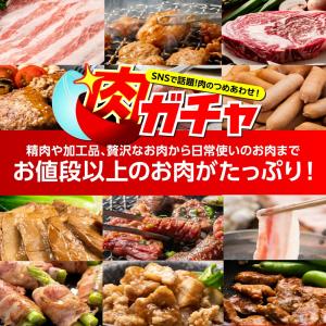 【10000円コース】肉ガチャ 肉福袋 食品 ...の詳細画像3