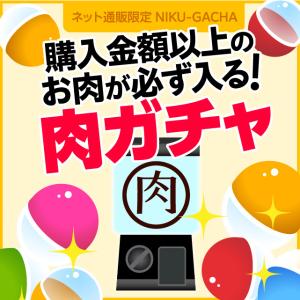 【3000円コース】肉ガチャ 肉福袋 食品 冷...の詳細画像1