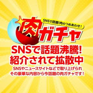【5000円コース】肉ガチャ 肉福袋 食品 冷...の詳細画像2