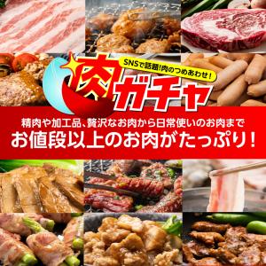 【5000円コース】肉ガチャ 肉福袋 食品 冷...の詳細画像3