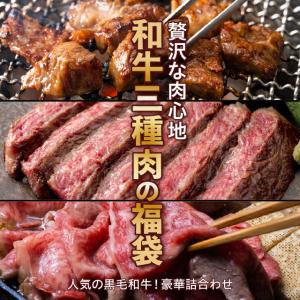 黒毛和牛三種の肉福袋 | 和牛切り落とし400g / 和牛ロースステーキ300g / 和牛タレ漬けロースひとくちステーキ400g　冷凍 食品 肉 牛肉｜niku-donya