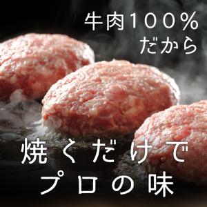 牛肉100% そのまんま肉バーグ 180g×3...の詳細画像2