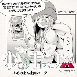 牛肉100% そのまんま肉バーグ 180g×3...の詳細画像3