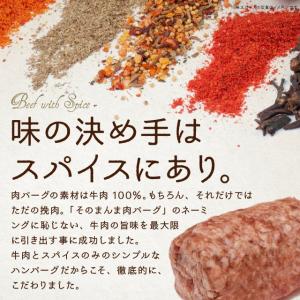 牛肉100% そのまんま肉バーグ 180g×3...の詳細画像4