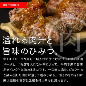 牛肉100% そのまんま肉バーグ 180g×3...の詳細画像5