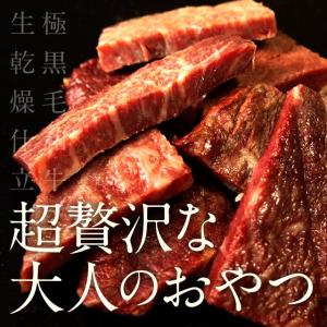 半生極ステーキ 100g The Oniku 高級 冷凍 肉 国産 和牛 Ａ5 ビーフジャーキー 食品 お取り寄せグルメ｜niku-donya