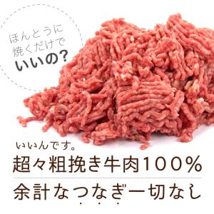 2Pセット ハンバーグ そのまんま肉バーグ 計...の詳細画像3