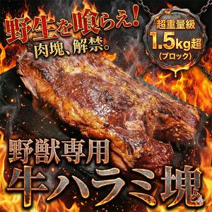 牛肉 牛 ハラミ ブロック肉 さがり ハンギングテンダー