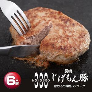 長崎じげもん豚はちみつ味噌ハンバーグ(6人前)【一部の地域を除き送料無料】ギフト 誕生日 御中元 簡単調理 時短｜nikukobo-mizota-y