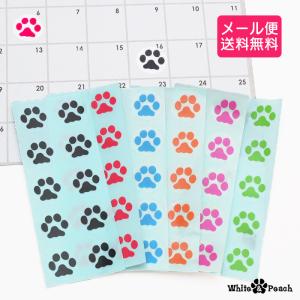 メール便送料無料 透明版当店オリジナル 肉球ミニ...の商品画像