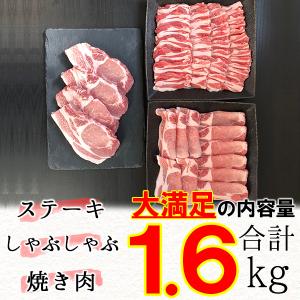 福島県産 豚肉 合計1.6kg 豚ロース 3点...の詳細画像4