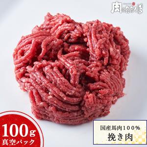 国産馬肉 挽き肉 100g ペット ドッグフード 犬 赤身 馬肉 純国産