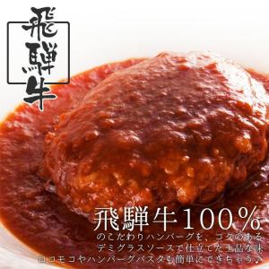 バンバーグ 飛騨牛 煮込み ハンバーグ 1個 ...の詳細画像1